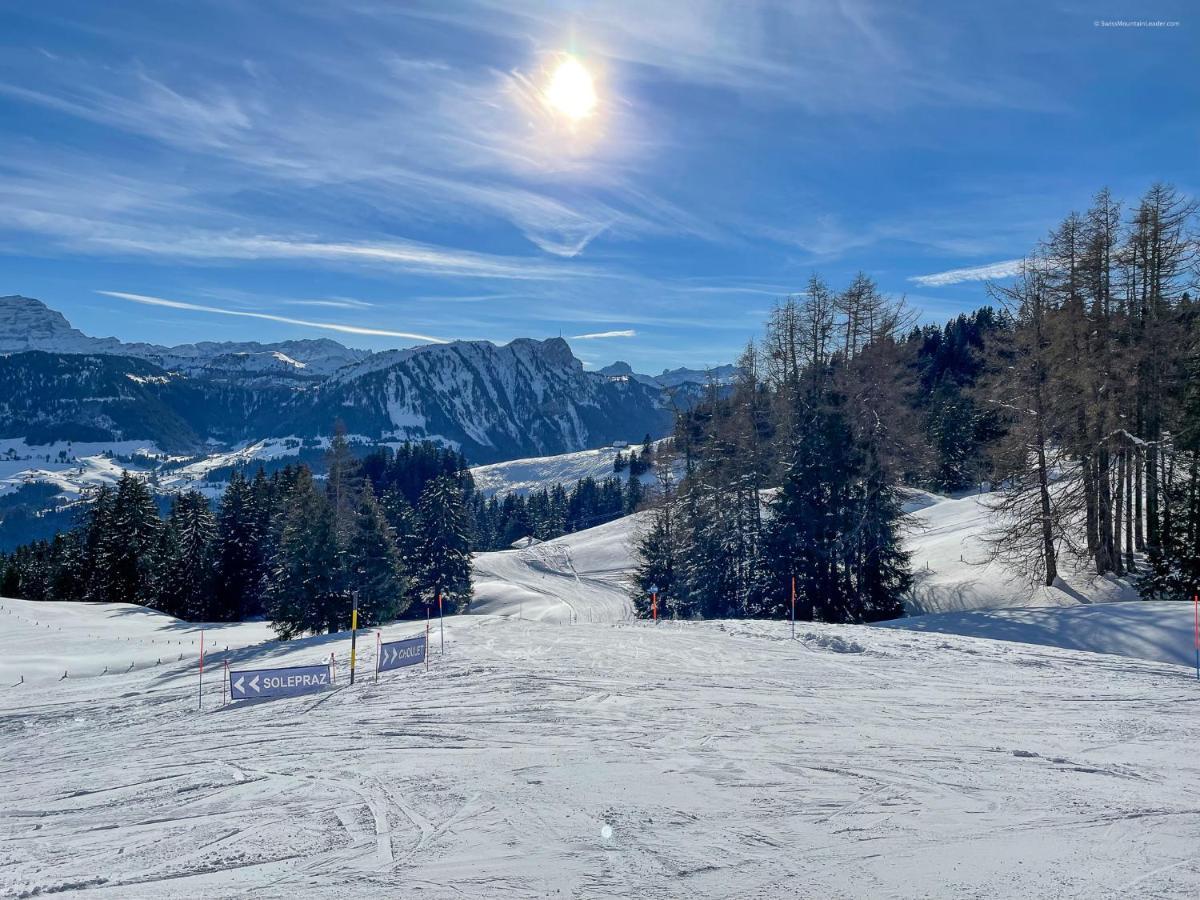 Bed & Breakfast L'Epicea Leysin Exterior photo